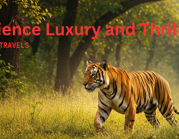 Don’t Just Visit, Experience Jim Corbett Like a True Explorer