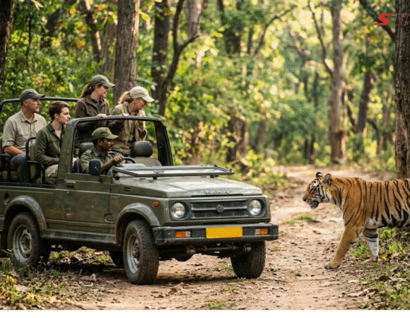 India Wildlife Tours: Top National Parks & Safari Experiences
