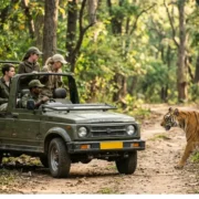 India Wildlife Tours