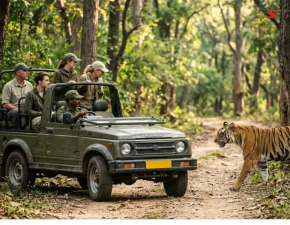 India Wildlife Tours: Top National Parks & Safari Experiences